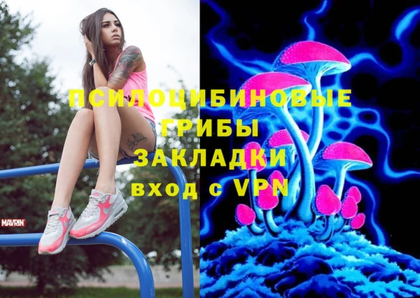 таблы Алексин