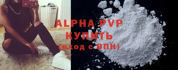 гашик Нефтекумск