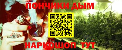 крисы Волгодонск