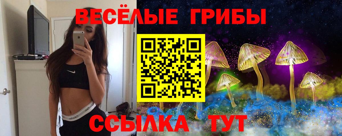 Псилоцибиновые грибы Psilocybe Балашиха